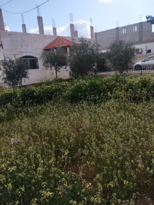 220 m2 5 Bedrooms Townhouse for Sale in Mafraq Other