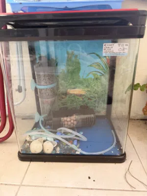 حوض سمك حجم ممتاز