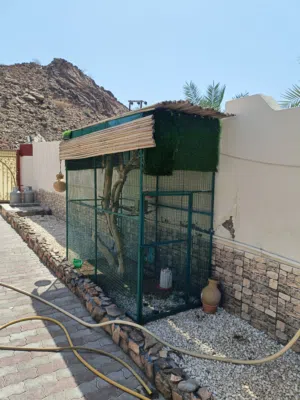 قفص للبيع نظيف ومعاة غطى دعن من النخيل ب50 ريال