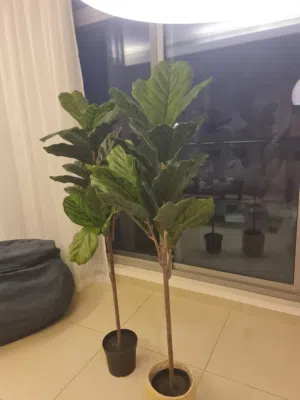 fejka plant almost new