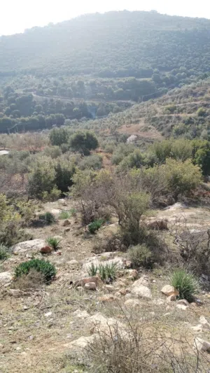 Farm Land for Sale in Salt Al Balqa'