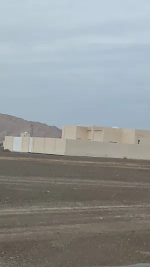 138 m2 3 Bedrooms Villa for Sale in Buraimi Al Buraimi
