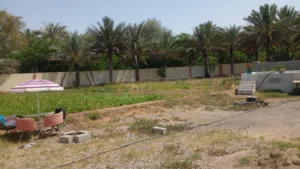 مزرعه محوطة للبيع