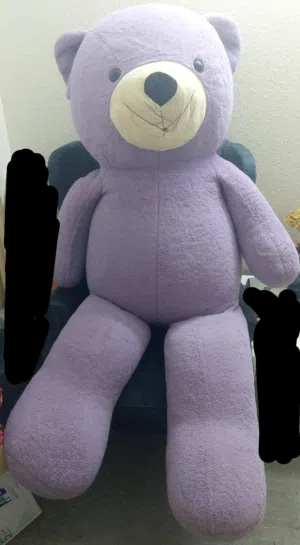 Big teddy bear