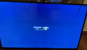 Nikai 55 4K Smart TV For Sale