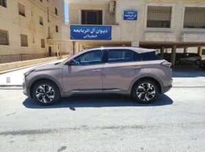 Used Neta U in Irbid