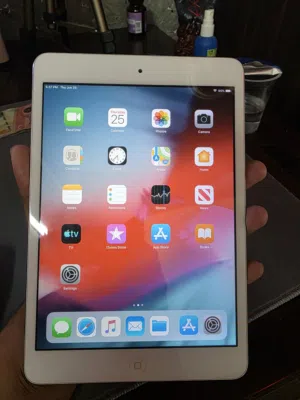 Apple iPad Mini 2 16 GB in Salt