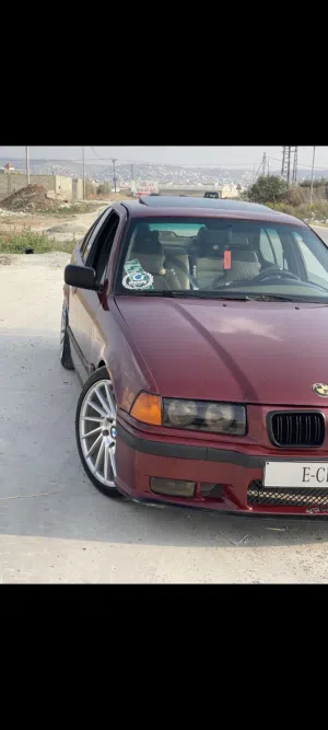,e36Bmw cobra
