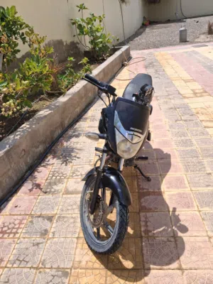 دراج بجاج للبيع مديل 2020