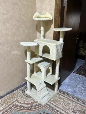 بيت  وخداشة  للقطط