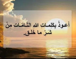 ابوعلى 123 محمد
