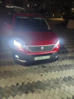 بيجو ريفتر شصي طويل