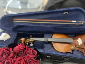 كمان جديد من الافنيوز لم يام استعمالعه
