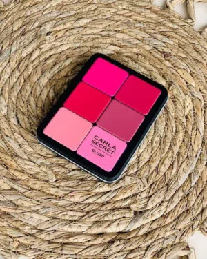 باليت دفتري للخدود