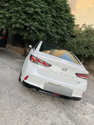 Used Hyundai Sonata in Amman