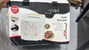 Deep fryer