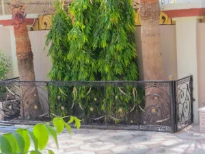 حاجز حديدي للنباتات