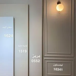 محمود محمد 