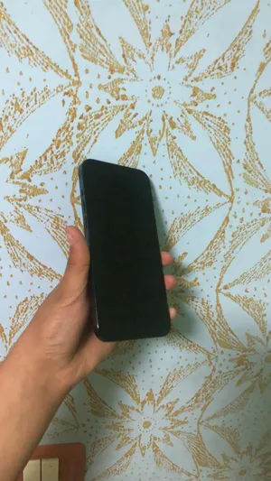 apple-iphone-12-pro-max-128-gb-in-hebron