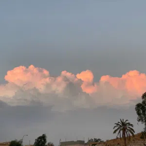 عبد المجيد 