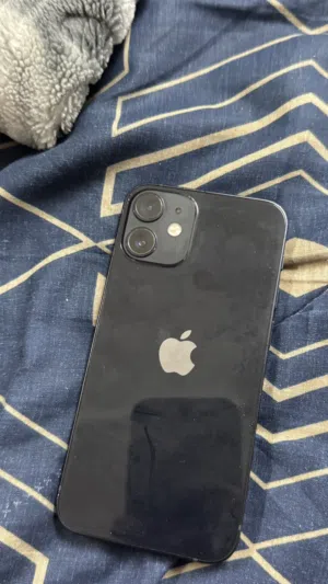Apple iPhone 12 Mini 256 GB in Muscat