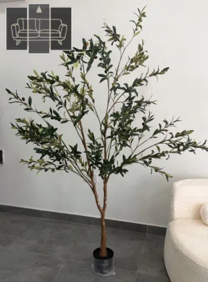 شجر الزيتون فخامة تكتمل بها لوحة منزلك جوده جدا Olive trees add a touch of luxury to your home's dec