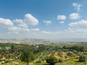 Mixed Use Land for Sale in Jerash Other