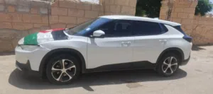 شفر ملينو كهرباء