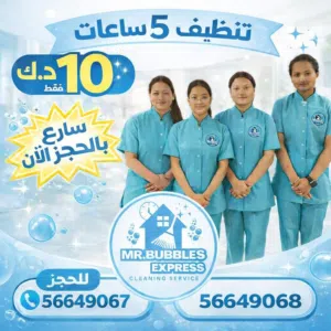 عاملات ماهره للتنظيف بالساعات