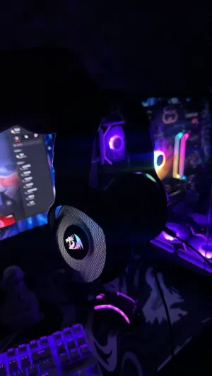 اكسسوارات pc