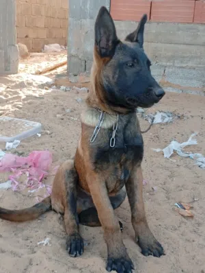 دكر مليونا ربي ايبارك  العمر تلاته شهور ونص  صوره الام و بوهم خاص