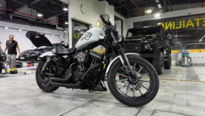 Harley Davidson . Iron 883 . 20094