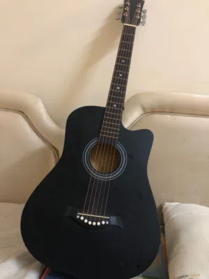 جيتار اكوستك