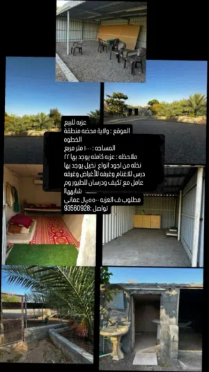 Farm Land for Sale in Buraimi Mahdah