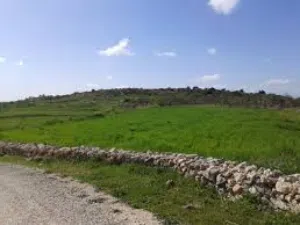 Mixed Use Land for Sale in Tulkarm Kafr Abush