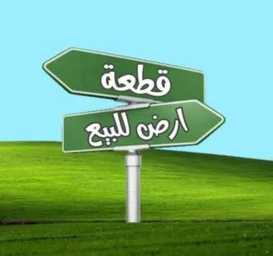 الرمثا ارض مميزه للبيع في ارقى احياء الرمثا  البركه الشماليه حي الزهور