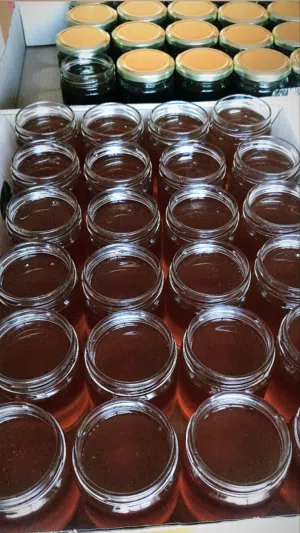 عسل البسباس (الشّمر) الحر