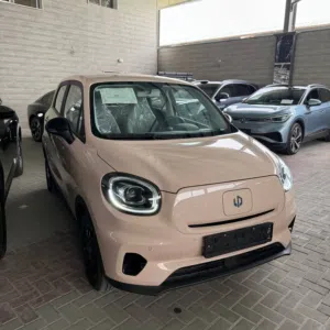 New Leapmotor T03 in Zarqa