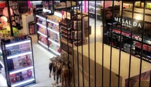 محلات للبيع او الايجار / رام الله وسط البلد