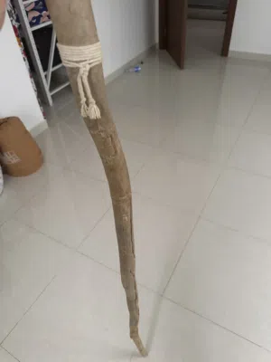 عصا غريبه و اثريه تم العثور عليها