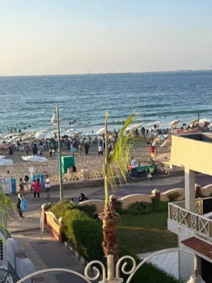 Furnished Daily in Alexandria Maamoura
