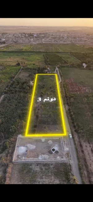 دوانم للبيع بستان قريبة من نهر الفرات (شط الكوفة)