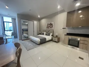 LUXURIOUS COZY APARTMENT FOR RENT