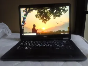 Dell . Windows . 15"3