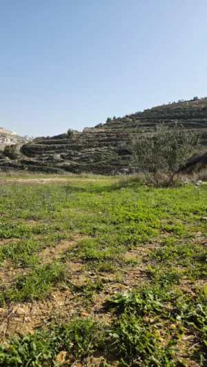 Mixed Use . 564 m2 . Landlord0