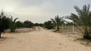 مزرعة رائعة للاستثمار و للراحة والاستجمام