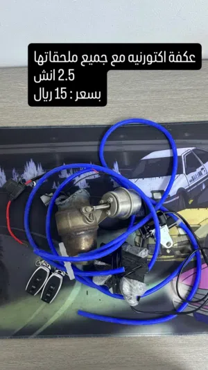 عكفة اكتورنية