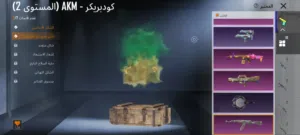 حساب بوبجي عرطهه لي البيع ومعه حساب ثاني هديه