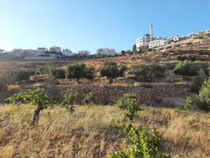 Mixed Use Land for Sale in Bethlehem Beit Fajar