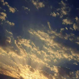 moayad samarah 